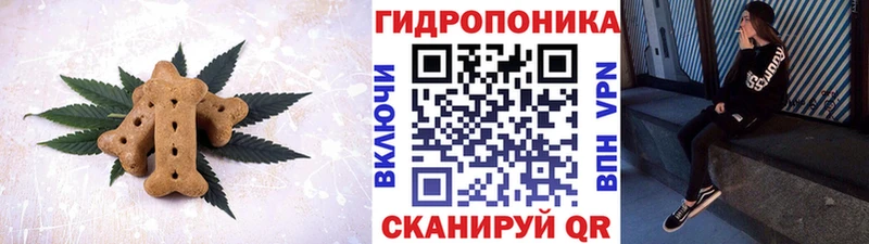 Canna-Cookies марихуана  где можно купить   Кириллов 