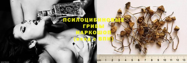 MESCALINE Карпинск