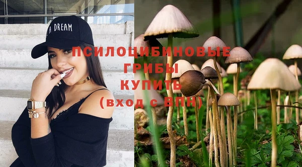 mdpv Карталы