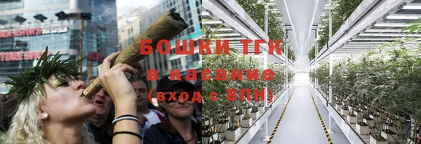 прущий лед Касимов