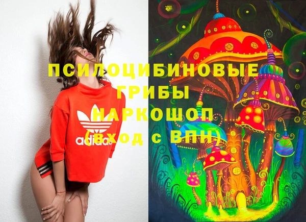 прущий лед Касимов